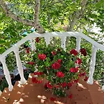 Casa Margaridas Guest house Caldas Da Rainha