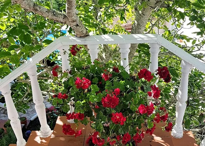 Casa Margaridas Casa de hóspedes Caldas Da Rainha